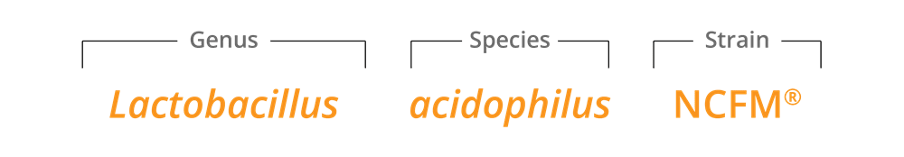 Lactobacillus acidophilus NCFM Database